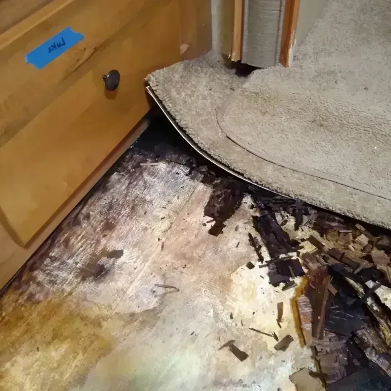 Best Wood Floor Water Damage Service in Lake Koshkonong, WI